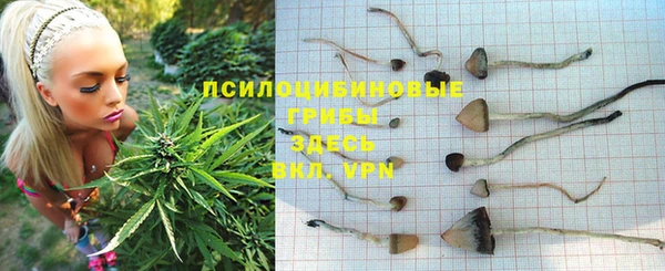 каннабис Баксан