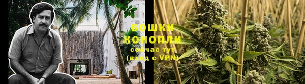 тгк Балабаново
